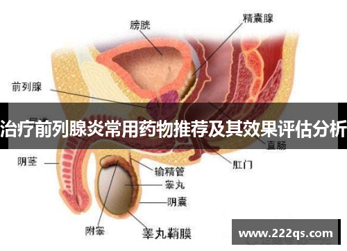 治疗前列腺炎常用药物推荐及其效果评估分析